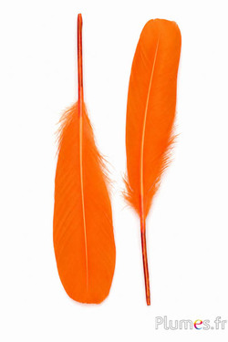 Zwaan zijde - 25-30 cm - oranje